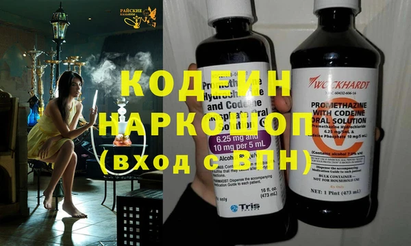 apvp Инта