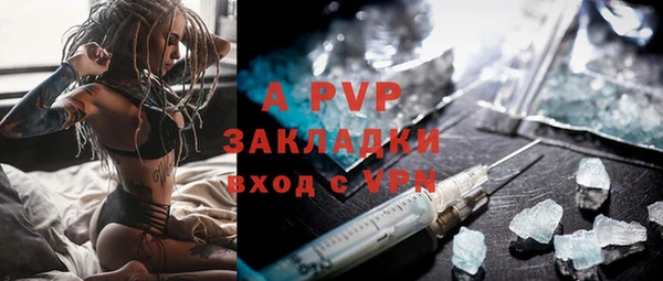 apvp Инта