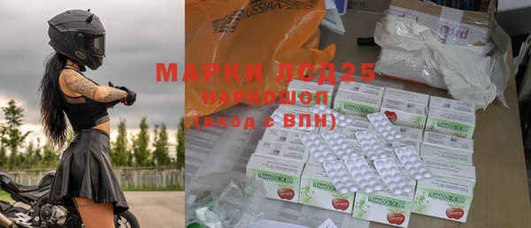apvp Инта