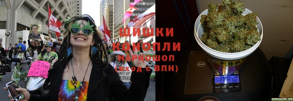apvp Инта