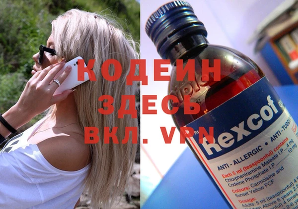 apvp Инта