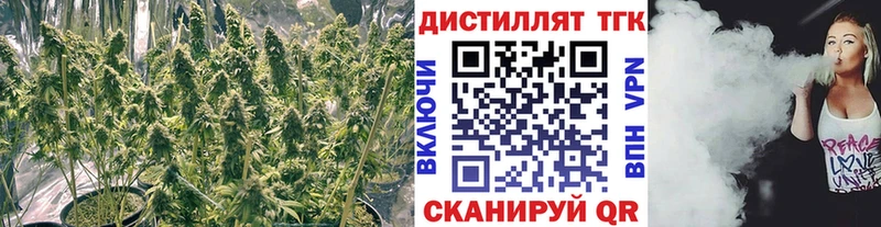 Дистиллят ТГК THC oil  Купить закладки  Реж 