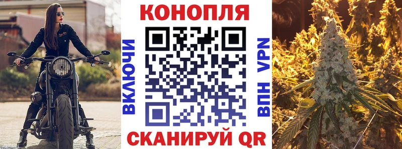 Купить  Реж  Шишки марихуана сатива 